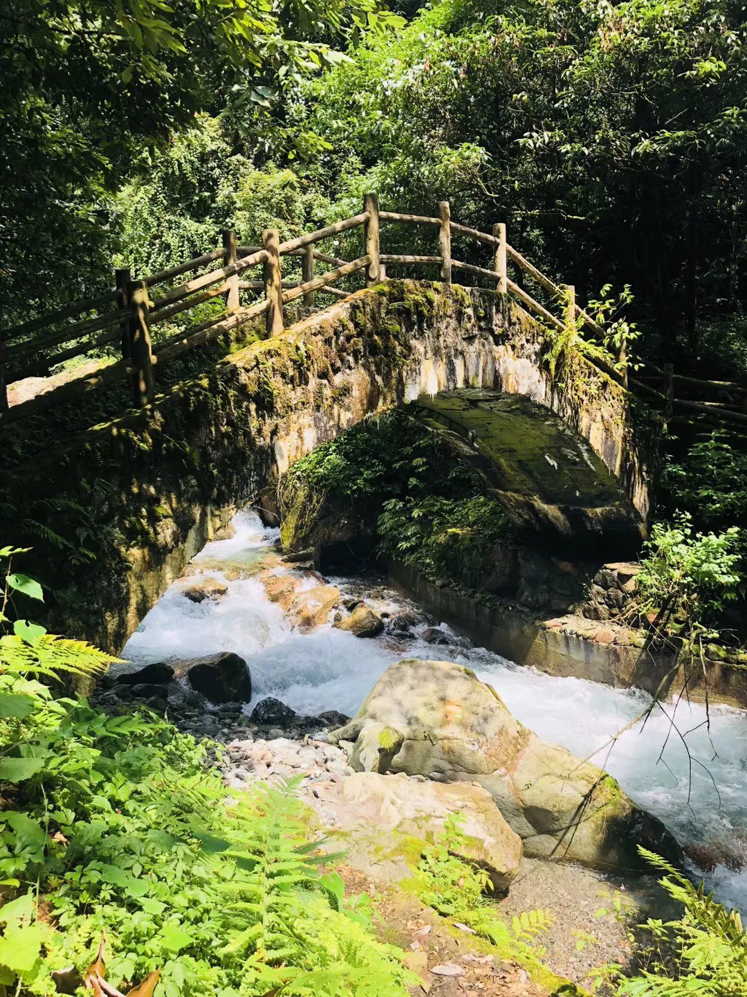 寻找海盗帽的男孩